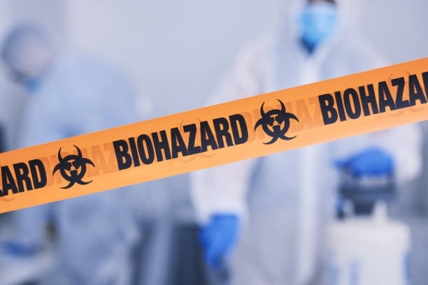Professional Odor Removal technician working in Windham, OH